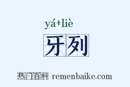 牙列是什么意思的图片